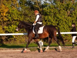 IMG_7743_web